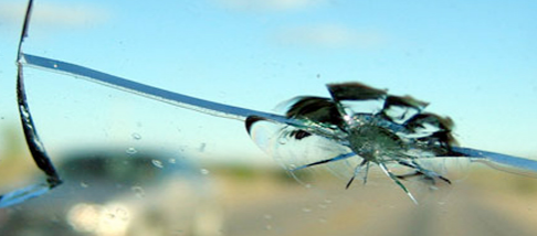 Fully Comprehensive Windscreen Replacement